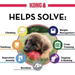 KONG Classic - Dog Chew Toy - Image 3